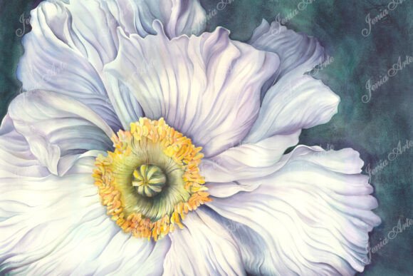 White Poppy Watercolor Art: A Baton Style Masterpiece